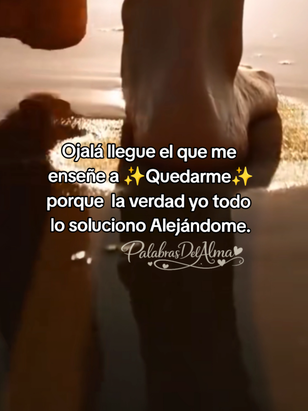 #palabrasdelalma #frasesparadedicar #palabrasdelcorazón #viral?tiktok 