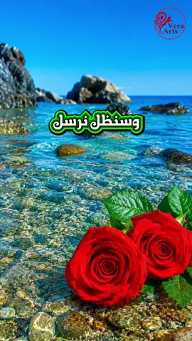 #اكسبلور #اكسبلور #تيك_توك #لايكات #الشعب_الصيني_ماله_حل😂😂 