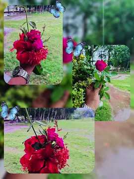 #fypシ゚viral #foryou একবার পেয়ে দেলে তুমাকে ফুলে মতো যন্ত করে রেখে দিতাম।@(?)