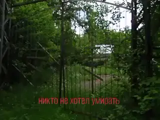 #шизомем #менянесуществует #шизопостинг #лес #природа #forest #nature #digitalcamera 