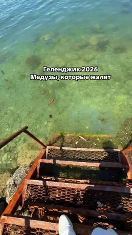 Имейте ввиду) Особенно дети страдают) все чешется и краснеет. Вызывает зуд и раздражение. Такое себе ощущение ((( #медузывморе #медузыгеленджик #настямайская #геленджик2026 