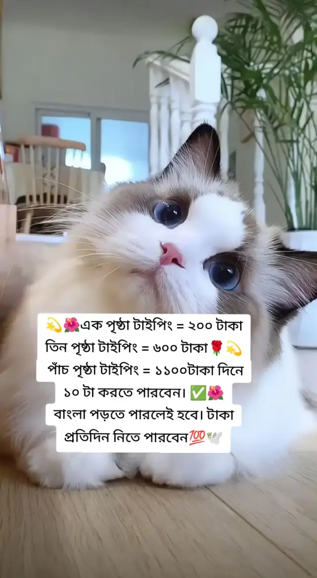 #ফরইউতে_দেখতে_চাই #fyp #foryoupage #foryou #fypシ 
