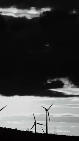 Sai cosa succederà un giorno? 