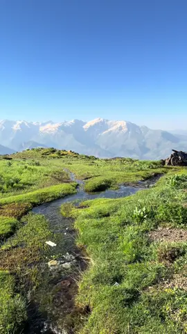 لەخەو هەڵسیت و ئەم دیمەنە ببینیت😍 بەهەشت😍 بناری چیای هەڵگورد. . #halgurdmointain #kurdistan #natur #explore #fyp 