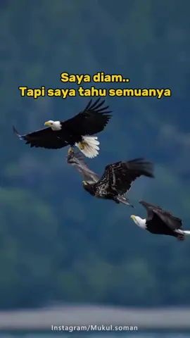 Assalamualaikum  #CapCut #quotestory  #fyp #Analia_erana  #tikTok🇲🇾 