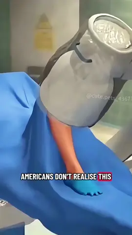 Tibial Fracture Surgery (3D Animation) #fracture #surgery #injury #plates #3danimation 