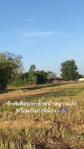 เมื่อไหร่จะถึงลมหนาวน้ออ #ว่าวสองห้อง #ไม่สืบสานก็สาบสูญ #ลมหนาว #ว่าวแม่ลูกอีสาน 