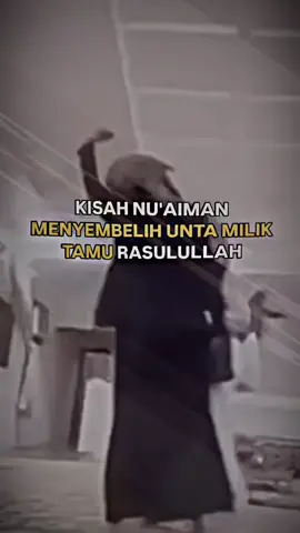 #kontencom#kontencomxtws