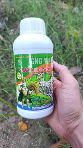 [Mua 3 tặng 1] Phân bón lúa kích rễ đẻ nhánh thông minh 