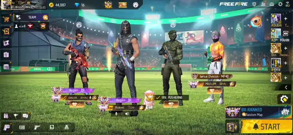 🐸🐸