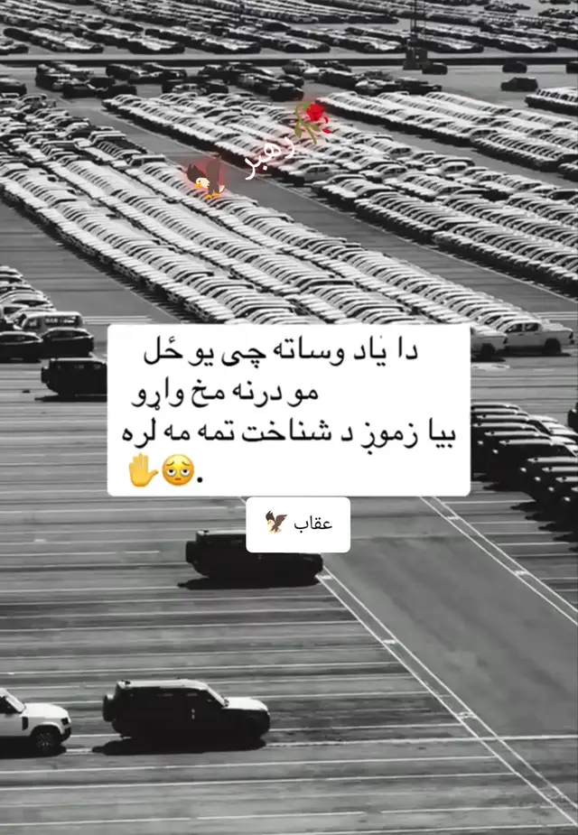 #fouryou  #pashto  #Love  #afghanistan🇦🇫  #پشتون_تاجیک_هزاره_ازبک_زنده_باد🇦🇫 