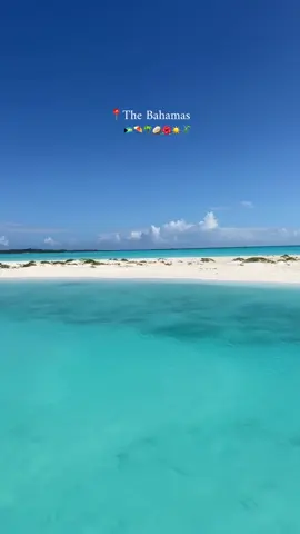 The Bahamas🇧🇸🌴🥥. #bahamas #cococay #cruise #royalcarribean #perfectday 