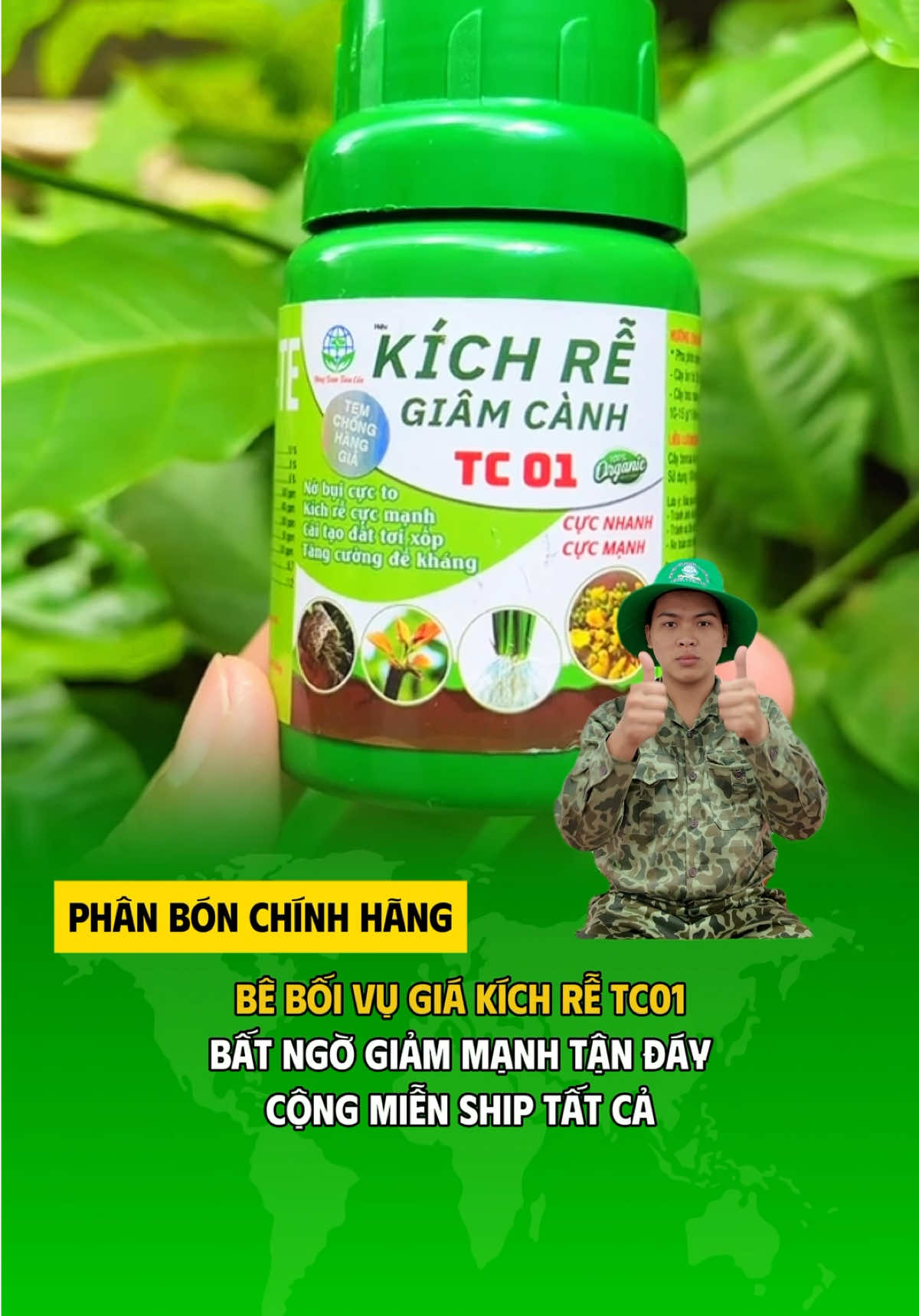 Bê bối vụ giá kích rễ TC01 #nongduoctoancau #kichre #npk #phanbon #nongnghiep 