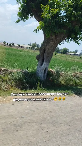 Мани айбим йуқ 😂😂😂 