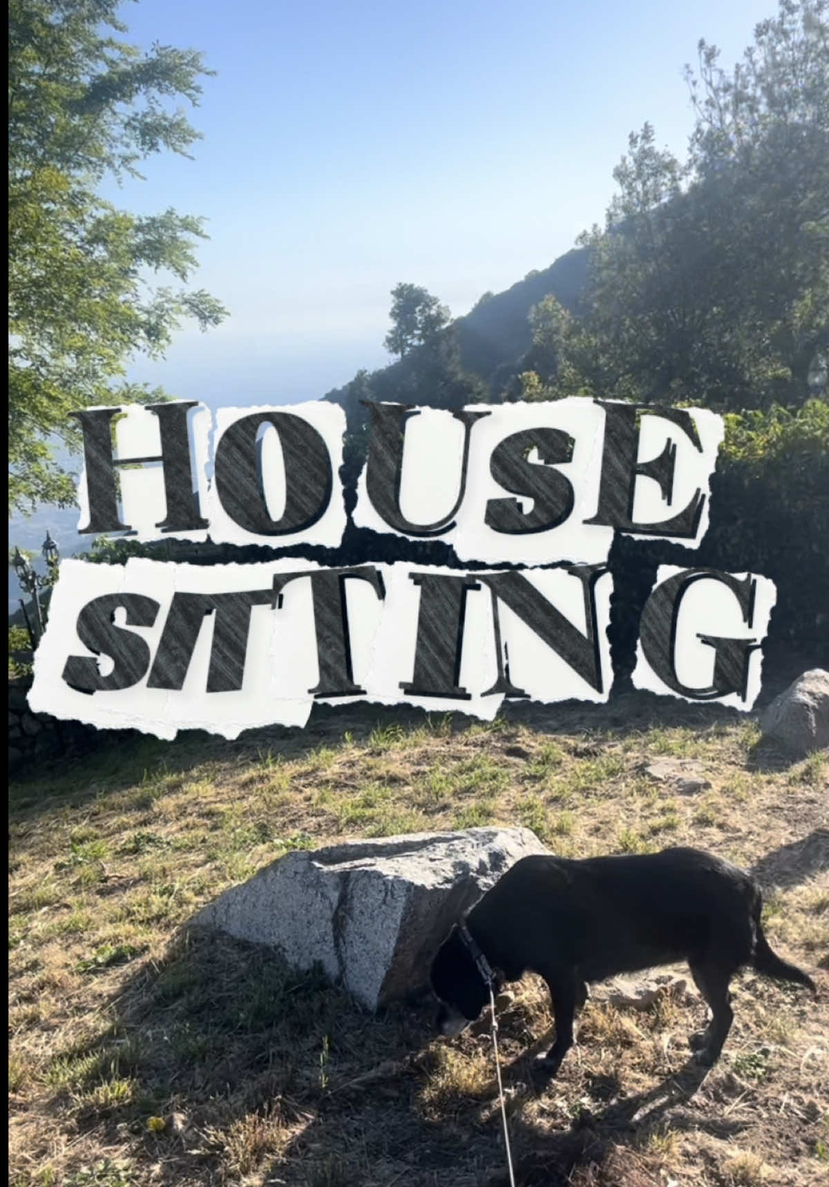 the house sat on us 🍑 