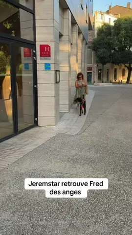 Jeremstar rencontre Fred des anges à Nîmes avec sa chienne  #jeremstar #fredlesangesoff #jeremstarjustice #jeremstarnimes #jeremstarcorrida 