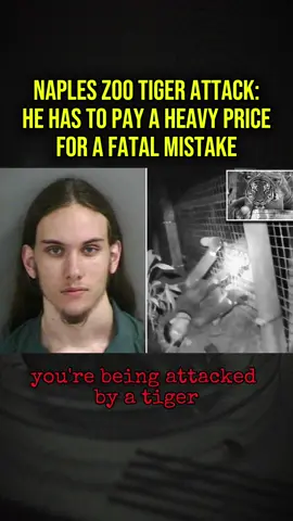 On December 29, 2021, a shocking incident occurred at the Naples Zoo in Florida that sparked outrage across the nation. River Rosenquist, a 26-year-old employee of a third-party cleaning service, entered an unauthorized area after the zoo had already closed for the day. For reasons unknown, Rosenquist bypassed the safety barriers and reached his arm through the enclosure fence of Eko, a rare 8-year-old Malayan tiger, reportedly attempting to pet or feed the animal. Instantly, the tiger grabbed his arm and pulled him toward the enclosure. In absolute panic, Rosenquist called 911, screaming for help as the tiger refused to let go. When a Collier County sheriff's deputy arrived at the scene, he attempted to distract the tiger, but when that failed, he was forced to make a split-second decision to shoot Eko in order to save the worker's life. Eko the tiger later retreated to the back of his enclosure and tragically passed away. Rosenquist was rushed to the hospital with severe trauma to his arm. The incident caused massive public backlash, with millions blaming the worker's reckless actions for the unnecessary loss of an endangered animal.	#TrueCrime #911Call #CrimeScene #ForYou #FYP