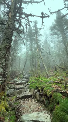 #naturetherapy #Hiking 