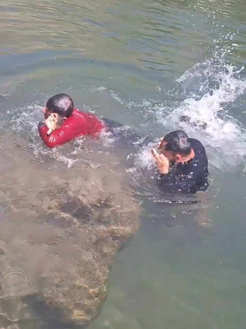 #ڕاوە_ماسی🚣✅ #ڕوی دەست#video_viral_tiktok😪🥀 #hawler_slemani_dhok_karkuk_hallabja 
