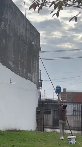 #tiktoklive #livehighlights #viraltiktok  Te dejo este tips para pintar en altura a muy bajo costo! Para los que me preguntaron qué pintura usé @pinturas.premier para exteriores 