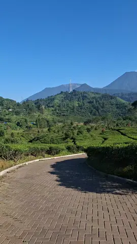 secakep ini kalian wajib kesini sih😍#telagasaatpuncak #puncakbogor #fyp 