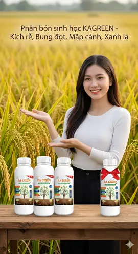 [KAGRI] Combo 4 chai KA GREEN phân bón sinh học KAGREEN kích rễ, Bung Đọt, Mập Cành, Xanh Lá