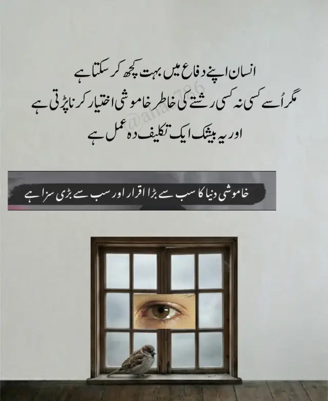درویش 