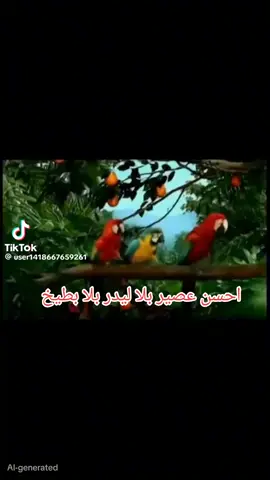 عصير راني الجوده اولا👍👍👍