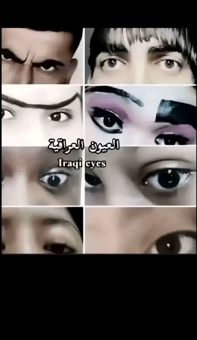 شكد انشرر 