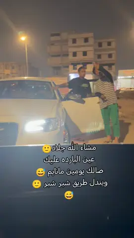 مسربت سيد