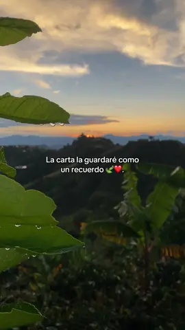 #viralvideo #atardeceres🌅 #campo 