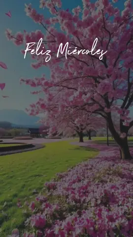 #CapCut #muybuenosdias #lluviadebendiciones #felizmiercoles #lizethposadashn 