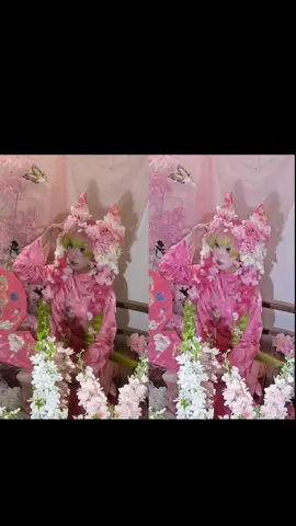 Không được bỏ phí bất kì suộc nào @wink.app_vn #xuhuong #viral #cosplay 