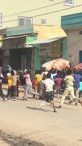 Dabaal dega iyo jaad ,doorashada kgs #sh.adan madoobe 