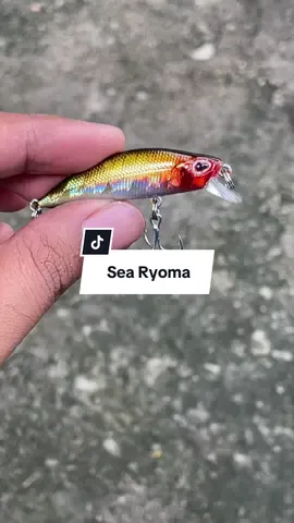 Minnow sinking 5 gram untuk casting predator air tawar atau air laut dari Sea Ryoma #minnow #minnowsinking #minnowsinkingkiller #searyoma #umpancasting 