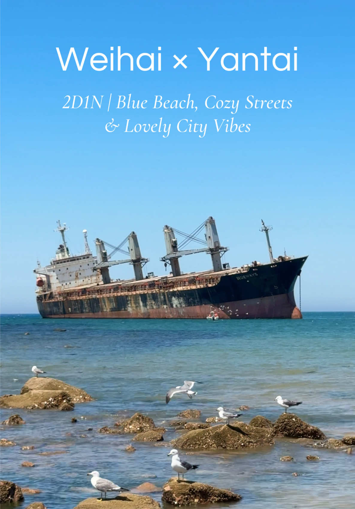 Weihai × Yantai 2D1N Trip ✨ Blue beach, cozy streets, cafés, night market, and lovely city vibes. 📍Weihai * Bulu Weisi (Bruweis Shipwreck / Blueways) * Lost Train Haibian Lieche * Solitude Pact Café (Gudu Gongyue) * Huoju 8th Street * Hanlefang Night Market (Korean Town) * Weihai Park (Giant Photo Frame) * Stayed one night at Orange Hotel, with easy access to Weihai Railway Station and Hanlefang 📍Yantai * Yantai Haichang Fisherman Pier * Mofei Coffee More Coffee * Fun Apple Apple Art Store * Hongkou 1920 * Chaoyang Street #Weihai #Yantai #WeihaiTravel #YantaiTravel #Qingdao