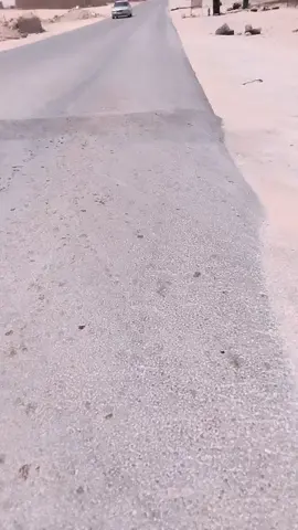 #الصحراءالغربية🇪🇭 #الجزائر🇩🇿 #ليبيا🇱🇾 #تونس🇹🇳 #الشعب_الصيني_ماله_حل😂😂 