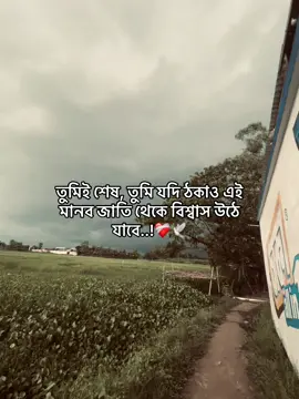 তুমিই শেষ, তুমি যদি ঠকাও এই মানব জাতি থেকে বিশ্বাস উঠে যাবে..!❤️‍🩹🕊️#fypシ #foryou #viralvideo #1millionaudition @TikTok 