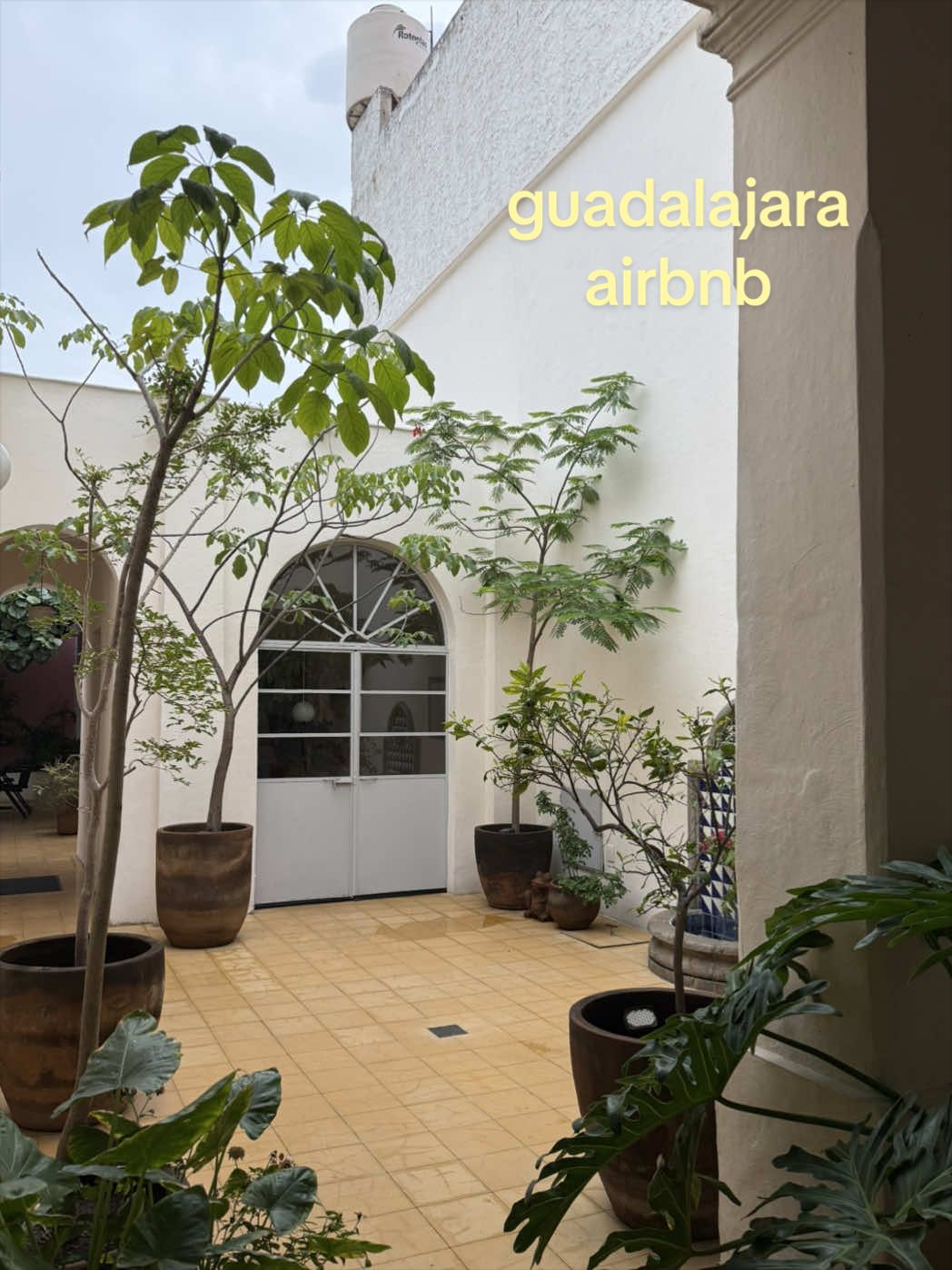 courtyard style airbnb are u kidding me?? dont text dont call  #airbnbfinds #guadalajara #gdl #mexico #travel @airbnb 