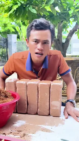 combo đất trồng cây viên nén xơ dừa