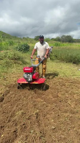 Vai ajudar muito no sítio 