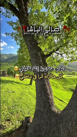 #الدار_البيضاء_مراكش_الرباط_طنجة #امازيغن🇲🇦👑 #imjad____tamazirt__lkhir__merhbaaa #صالح_الباشا_احاحان_الصويرة #اكادير_تيزنيت_تافروت_إمازيغن_سوس😍 