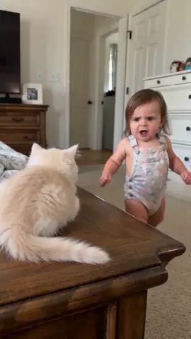 #cuteanimals #cutebaby #cat 