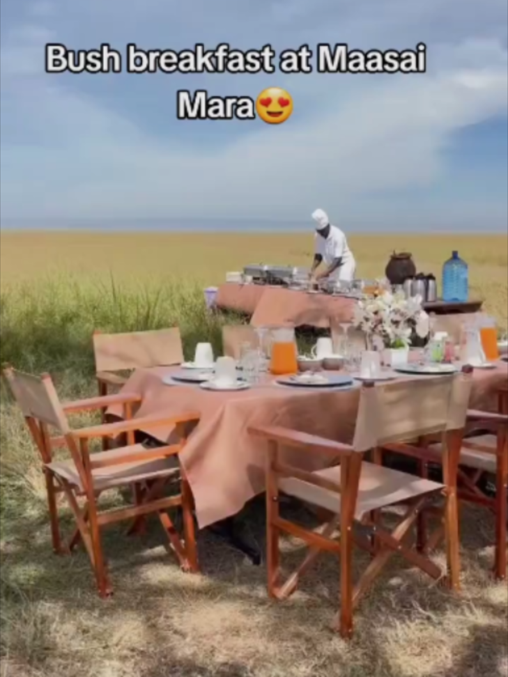 Start your day with a magical bush breakfast in the heart of the Maasai Mara. Imagine dining in the open savannah, surrounded by breathtaking wildlife and the sounds of nature. This unique safari experience offers freshly prepared meals, stunning views, and an authentic taste of the African wilderness. Whether you are planning a romantic getaway or a family adventure, a bush breakfast is a must-try.
