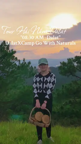Đi Check Nấm Tour ❌ Đi Chill 💯💯💯#dalatxcamp #viralvideo #video #chilldalat #campinglife @Tour Hái Nấm Đà Lạt 