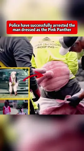 Police have successfully apprehended the man dressed as the Pink Panther #crime #court #news #breakingnews #fyp 