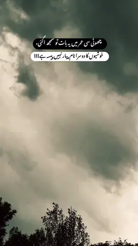 “Money is everything.”💸🔥#CapCut #foryou #growmyaccount #viralvideo #urdu_lines_🔥 