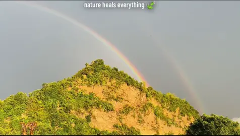 Nature heals everything 🍃#fyppppppppppppppppppppppp #tik_tok #naturevibes #1MillionViewsOnMyFirstVideo 
