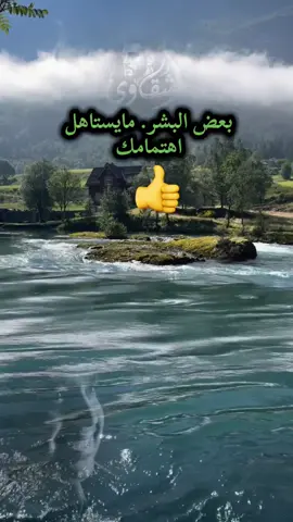 #creatorsearchinsights #اكسبلور #ترند #tik_tok #ترند_تيك_توك 