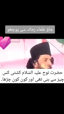 🙏حضرت نوح علیہ السلام کا کشتی #karblala_karbala_🚩  #shaheedallamanasirabbas 